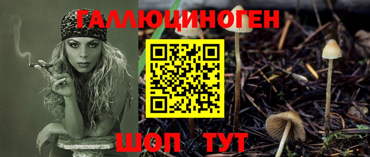 Щёлково  Псилоцибиновые грибы Cubensis  Вход с VPN  Галлюциногенные грибы Magic Shrooms 